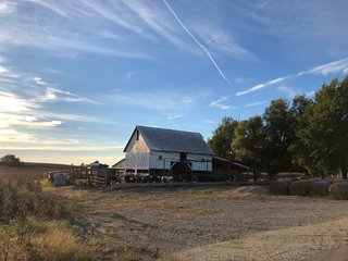 Property photo 67 - MAJOR LAND AUCTION - 1,085+/- ACRES IN 24 TRACTS IN HENRY & WAYNE COUNTIES, INDIANA